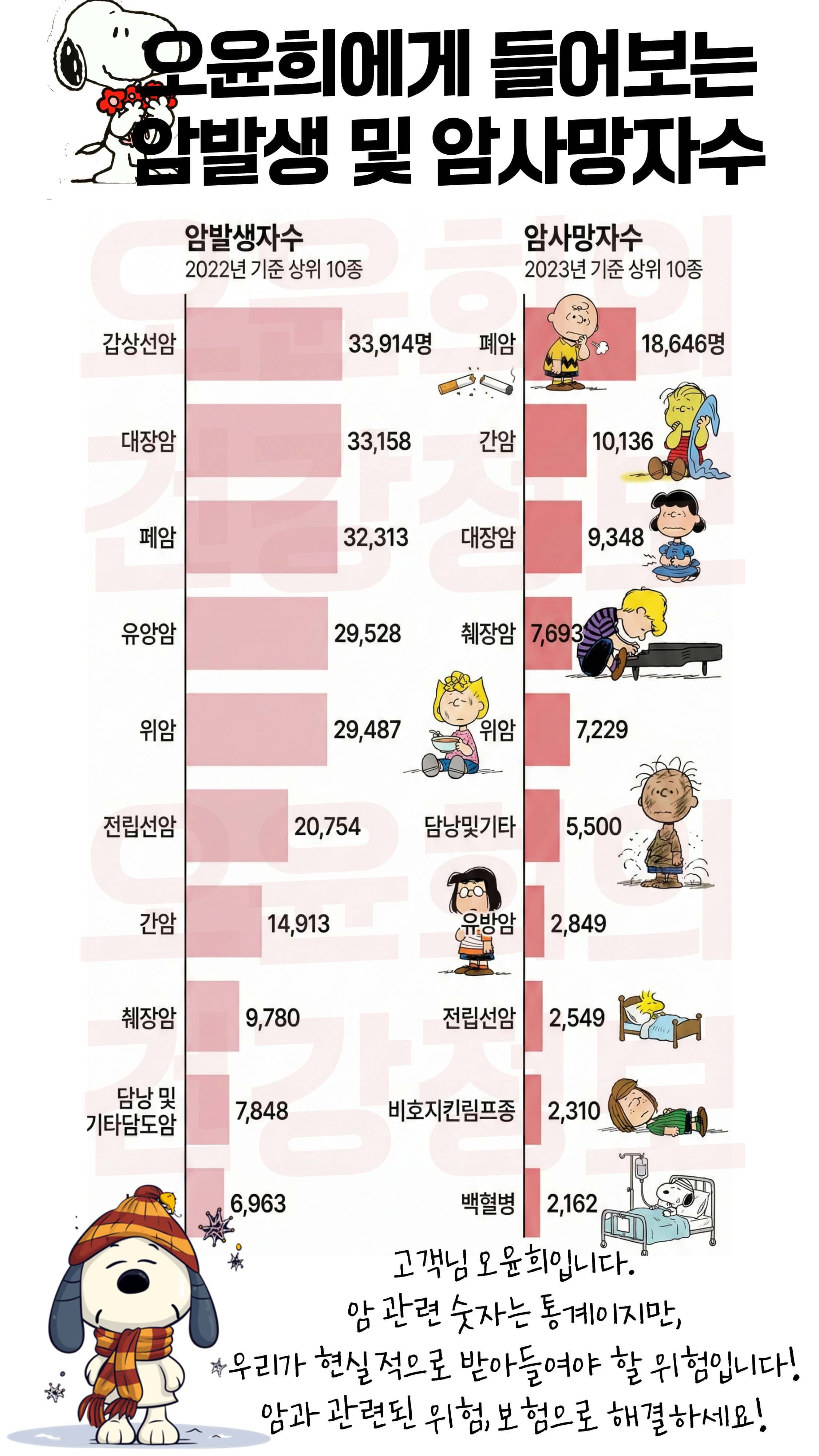 내 보험 점검